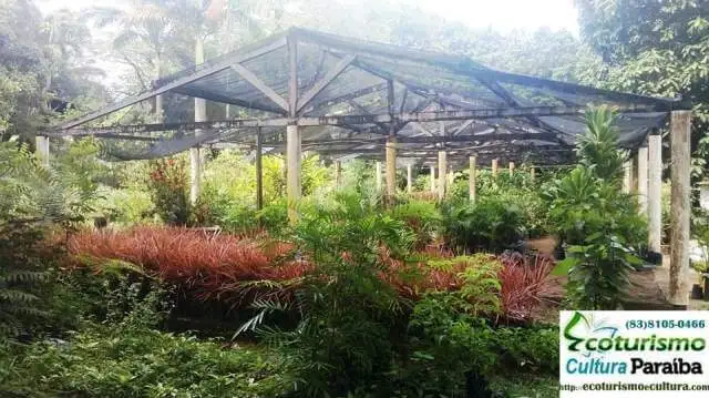 Parque Arruda Câmara (Bica): hortalicia Parque Arruda Câmara (Bica): hortalicia