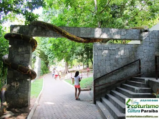Zoologico de João Pessoa (Bica): os reptéis Zoologico de João Pessoa (Bica): os reptéis