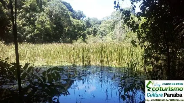Jardim botânico de João Pessoa: lago e mata (Mata do Buraquinho) Jardim botânico de João Pessoa: lago e mata (Mata do Buraquinho)