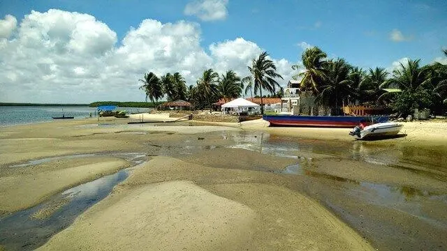 Barra do Cunhaú, do lado do mangue Barra do Cunhaú, do lado do mangue, com maré baixa