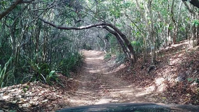 Pipa - RN, Ecological Sanctuary: the entrance path Pipa - RN, Ecological Sanctuary: the entrance path