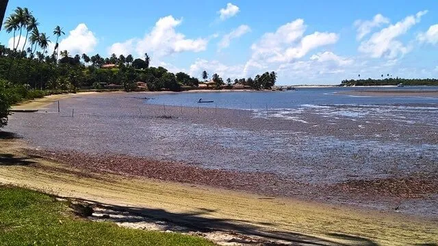 Barra do Cunhaú: o mar parece uma lagoa Barra do Cunhaú: o mar é tão tranquilo que mais parece uma grande lagoa