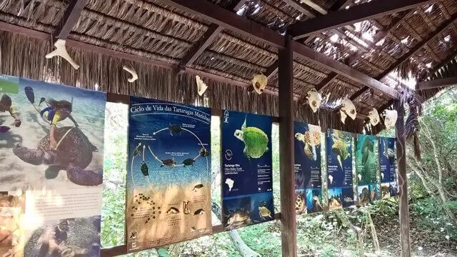 Pipa - RN, Ecological Sanctuary: Turtle exhibit Pipa - RN, Ecological Sanctuary: Turtle exhibit