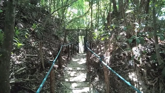 Pipa - RN, Ecological Sanctuary: Stairs leading to Madeiro Beach Pipa - RN, Ecological Sanctuary: Stairs leading to Madeiro Beach