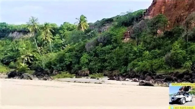 Barra do Miriri: mata atlântica Praias de Lucena: mata da Barra do Miriri