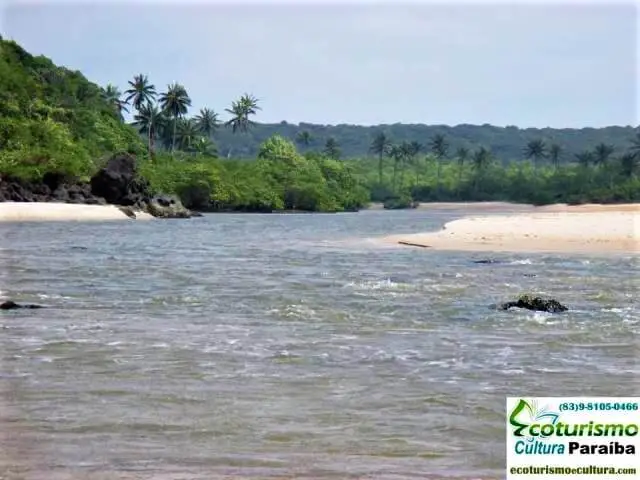 O rio Miriri O rio Miriri (praias de João Pessoa litoral norte)