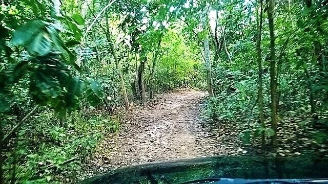 Trilha de Jipe 4x4 na mata de Lucena... Trilha de Jipe 4x4 na mata de Lucena