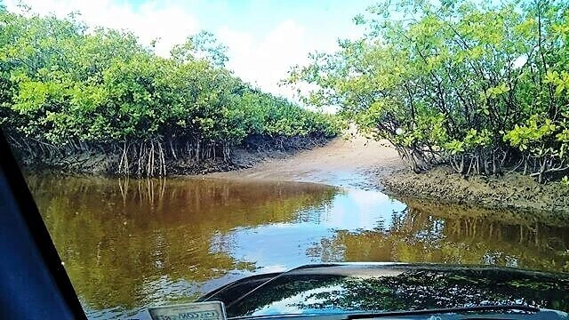 Trilha de Jipe 4x4: atravessando o mangue... Praias litoral norte Joao Pessoa: trilha de Jipe 4x4