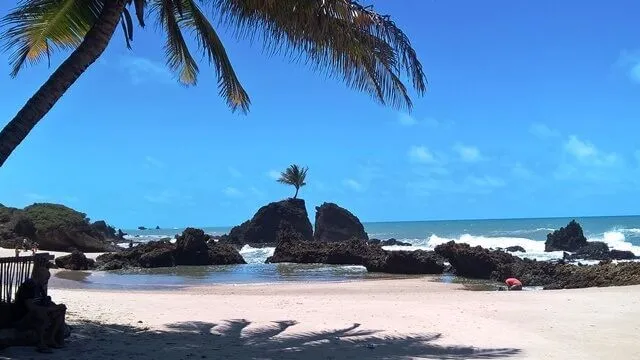 Superbe plage de Tambaba! Plage de Tambaba, João Pessoa : vue de carte postale