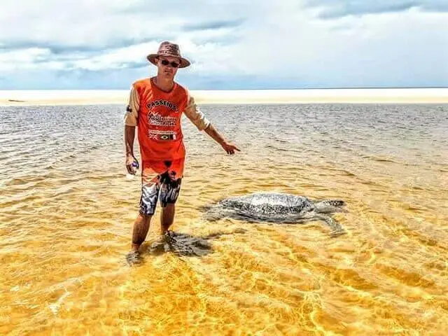 Tarataruga Pente (tortue peigne) dans la zone de protection de l'environnement de Tambaba (côte sud de João Pessoa)