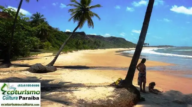 Coqueirinho Beach: beautiful view! Coqueirinho Beach: Beautiful view of the small beach of Coqueirinho