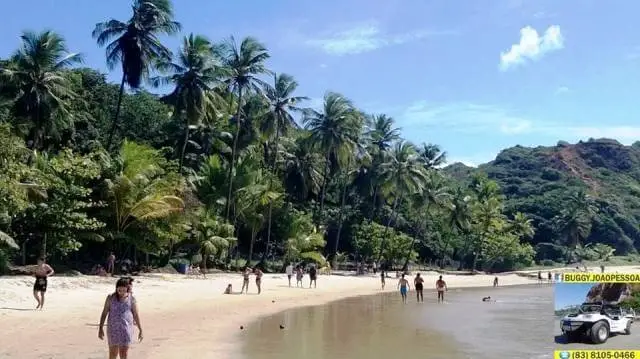 Coqueirinho Beach: small beach Coqueirinho Beach: view of the small beach, with the coconut trees