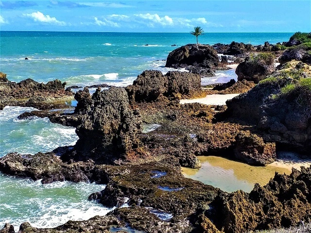 South coast of João Pessoa: viewpoint of the ecological trail, Tambaba side
