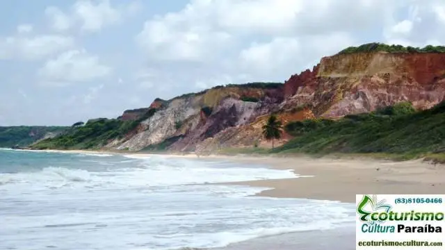 Trails on the beaches Cliffs between Coqueirinho and Tambaba (southern coast of Paraíba)