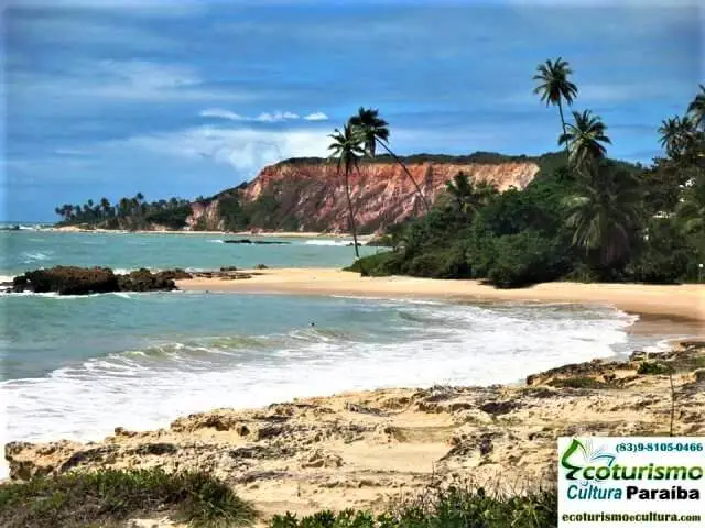 Tabatinga Beach: the cliffs Cliffs on Tabatinga Beach (Paraíba beaches)