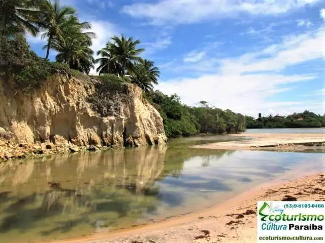 Tabatinga Beach: clay cliffs South coast of Paraíba: Clay cliffs of Tabatinga Beach