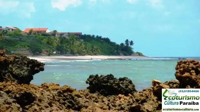 Tabatinga Beach: the reefs Beaches of the southern coast of Paraíba: reefs of Tabatinga Beach