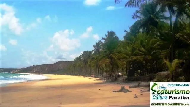 Coqueirinho Beach: the coconut trees Beaches of the south coast of Paraíba: coconut trees of Coqueirinho beach